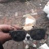 Theonlyjuan profil fotoğrafı