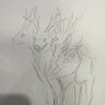 AFourHeadedDeer's profile picture