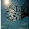 Blue Jay's profile picture