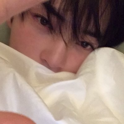 hamcatbin's profile picture