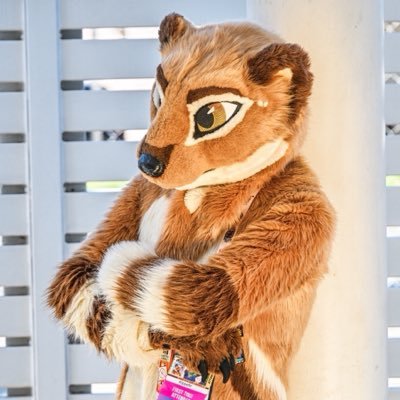 Kippefir's profile picture