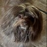 Squeak profil fotoğrafı