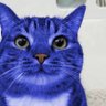 kettttttttttttttia profil fotoğrafı