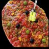 🍉 🇲🇦 profil fotoğrafı