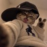 Profilbild von Certified Menace 😂