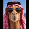 F 🇸🇦's profile picture