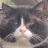 Micahman's profile picture
