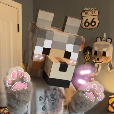#'s profile picture