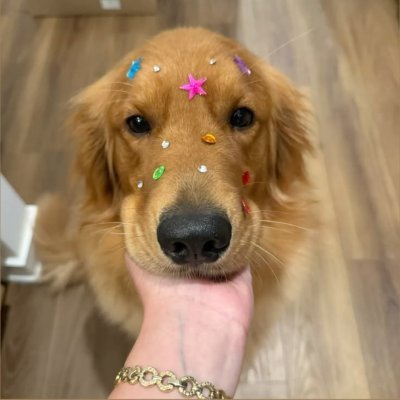 PawLunex's profile picture