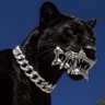 MrCougar profil fotoğrafı