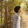 angel ꕤ 🌾's profile picture