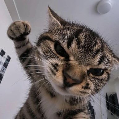 moruribrian's profile picture