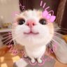 FARRAH_TICKETING_HTB|TPA๐ซ๐งโโ๏ธ profil fotoฤrafฤฑ