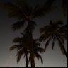halq173's profile picture