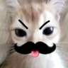 แฮชแท็ก ติ๋ม profil fotoğrafı