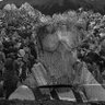 ∴ Thermidor🏴☠️ profil fotoğrafı