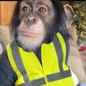 bhgoat 😾✊️ visionnaire 🔮 interim era profil fotoğrafı