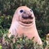 Gaby's profile picture