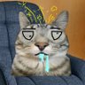 Profilbild von grimbo