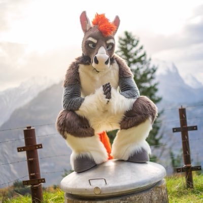 Jodira's profile picture