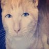 Hubert "Hu Man" Mann's profile picture