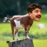 MakePhinsGreatAgain Mike the Jeff Hafley Stan's profile picture