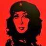 cher 的头像