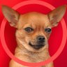 Quizy's profile picture