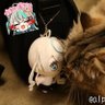 Profilbild von あるぱか山脈🦙⛰️⛰️ 🧁໒꒱· ゚