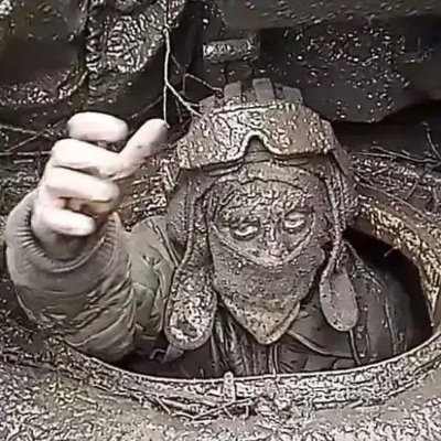 shittposting's profile picture