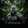 🦇WhiteNet's profile picture