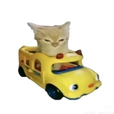 Jholabe's profile picture
