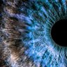 bitzkry profil fotoğrafı
