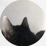 🫆ً's profile picture