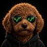 Max profil fotoğrafı