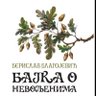 Profilbild von Berislav Blagojević