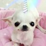 nunu !¡ 的头像