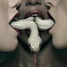 Snake 🇧🇷's profile picture