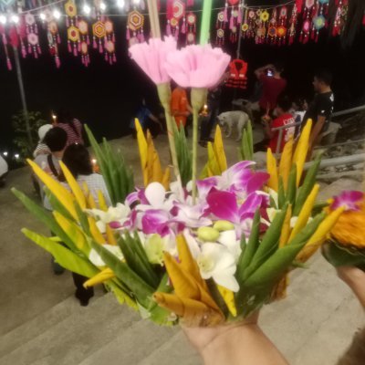 เด็กเพ็ชร์รีสายแข็ง's profile picture