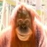 White's profile picture