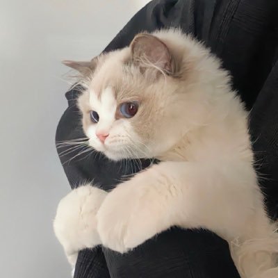 soa___s2's profile picture