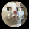 expres's profile picture
