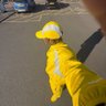 Zicoo profil fotoğrafı