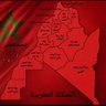Фото профиля 🦁🇲🇦⚜️الأسد الأطلسي⚜️🇲🇦🦁