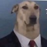 Profilbild von Relapse Dog