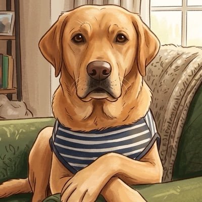shitorasubonbaa's profile picture