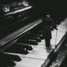 Profilbild von Maxwell Keys🎹
