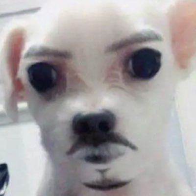feb's profile picture