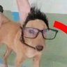 Thomas profil fotoğrafı