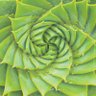 symmetry 的头像